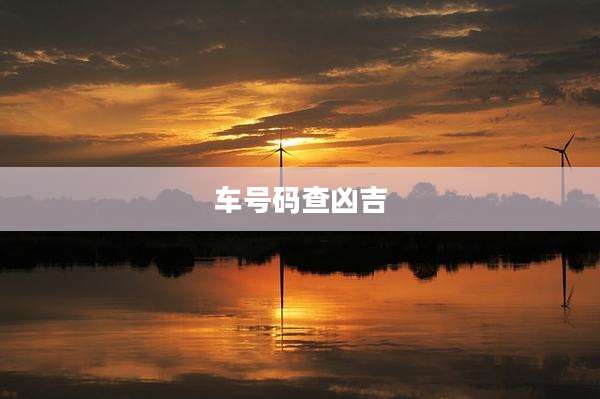 车号码查凶吉