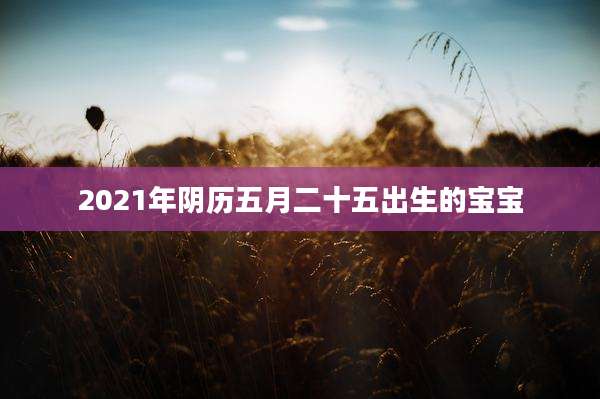 2021年阴历五月二十五出生的宝宝