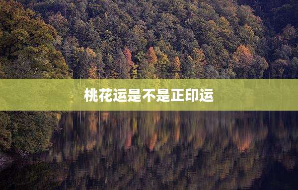 桃花运是不是正印运