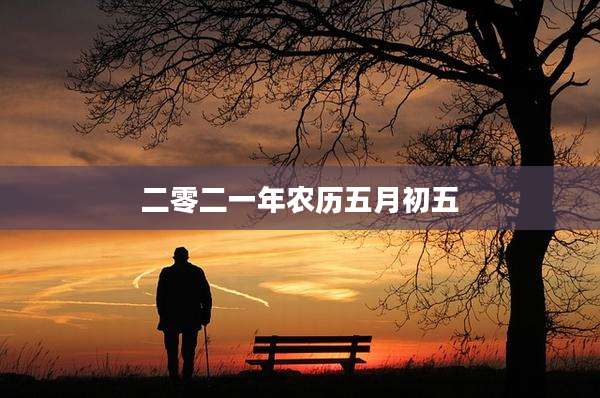 二零二一年农历五月初五