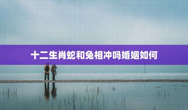 十二生肖蛇和兔相冲吗婚姻如何