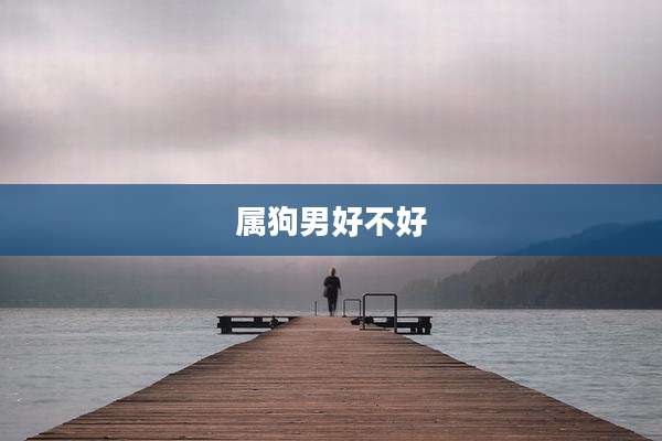 属狗男好不好