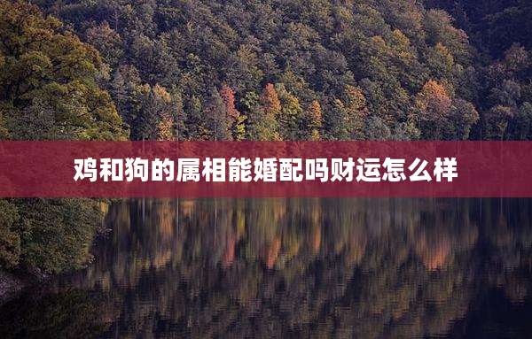 鸡和狗的属相能婚配吗财运怎么样