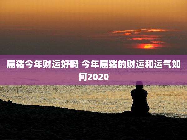 属猪今年财运好吗 今年属猪的财运和运气如何2020