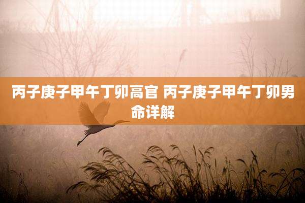 丙子庚子甲午丁卯高官 丙子庚子甲午丁卯男命详解