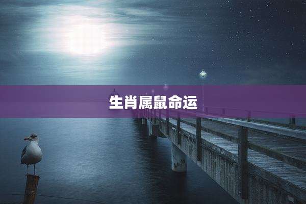 生肖属鼠命运