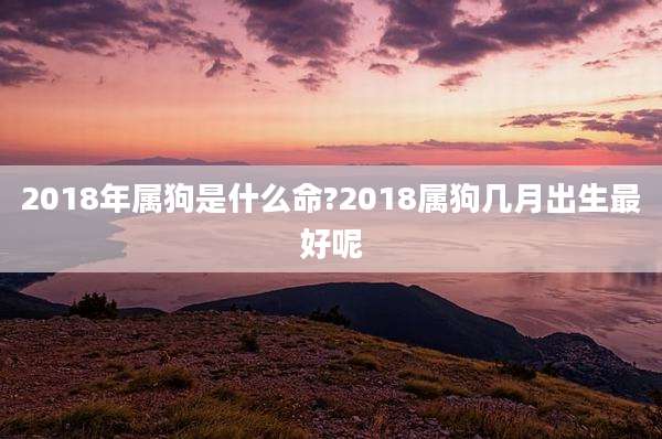 2018年属狗是什么命?2018属狗几月出生最好呢