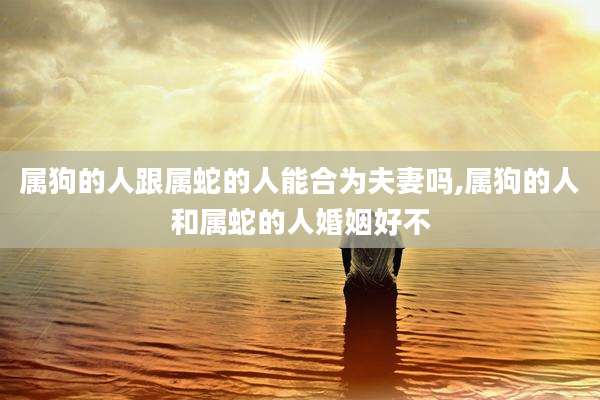 属狗的人跟属蛇的人能合为夫妻吗,属狗的人和属蛇的人婚姻好不