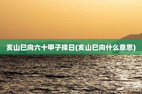 亥山巳向六十甲子择日(亥山巳向什么意思)