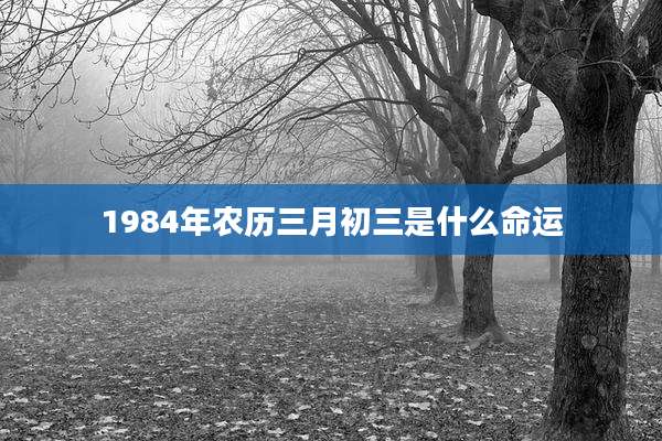 1984年农历三月初三是什么命运