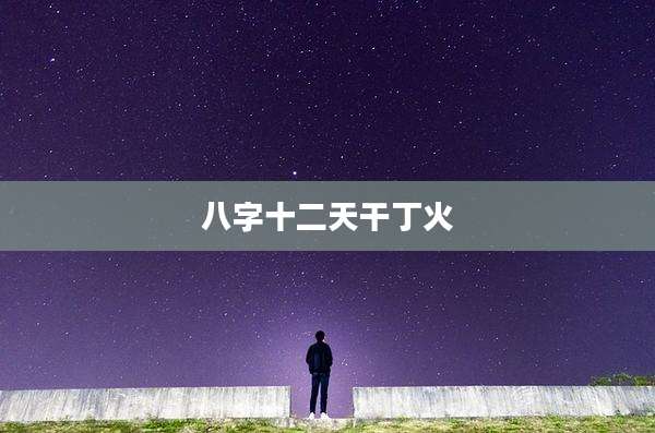 八字十二天干丁火