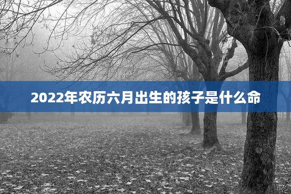 2022年农历六月出生的孩子是什么命