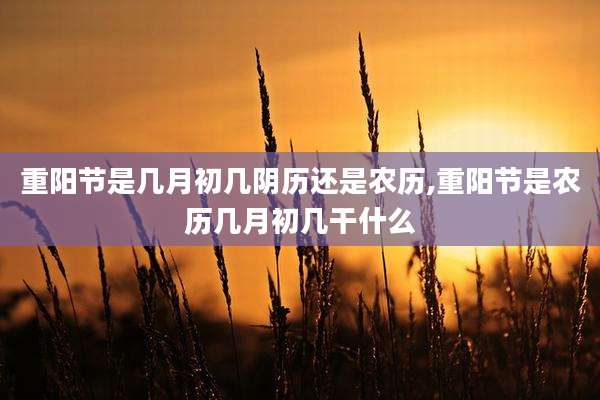 重阳节是几月初几阴历还是农历,重阳节是农历几月初几干什么