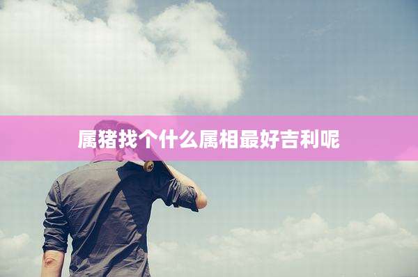 属猪找个什么属相最好吉利呢