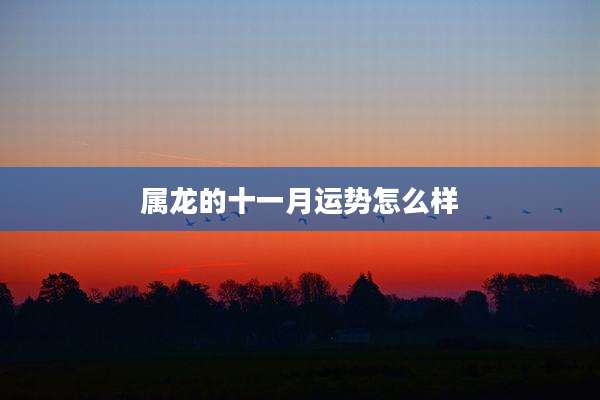 属龙的十一月运势怎么样