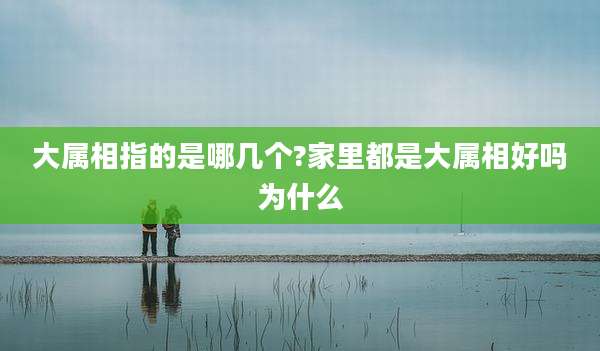 大属相指的是哪几个?家里都是大属相好吗为什么