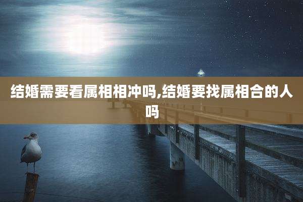 结婚需要看属相相冲吗,结婚要找属相合的人吗
