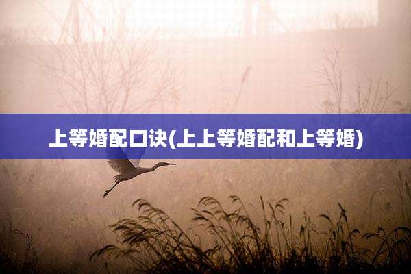 上等婚配口诀(上上等婚配和上等婚)