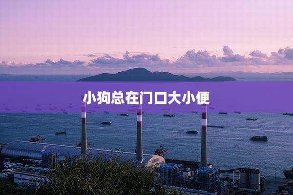 小狗总在门口大小便