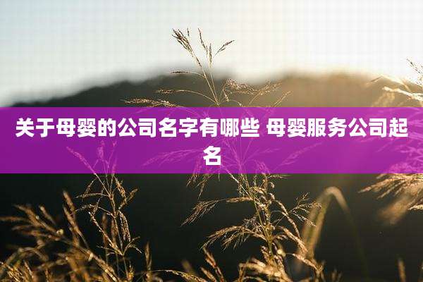 关于母婴的公司名字有哪些 母婴服务公司起名