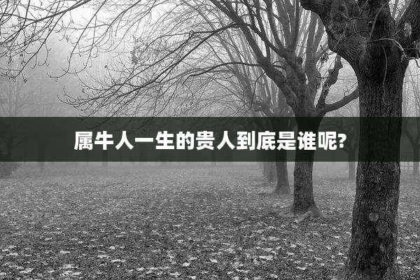 属牛人一生的贵人到底是谁呢?