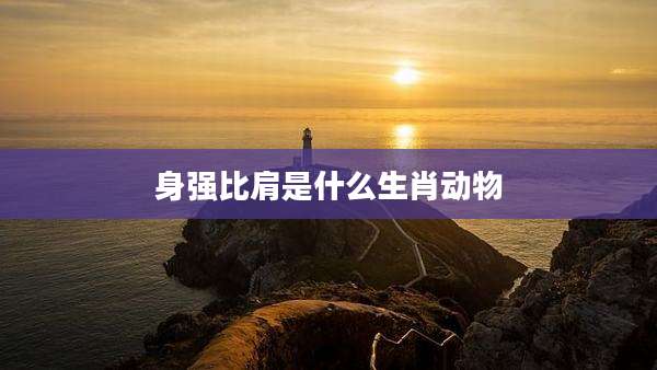 身强比肩是什么生肖动物