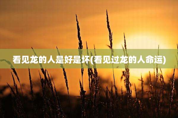 看见龙的人是好是坏(看见过龙的人命运)