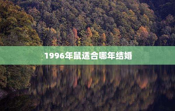 1996年鼠适合哪年结婚