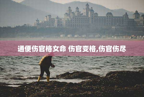 通便伤官格女命 伤官变格,伤官伤尽