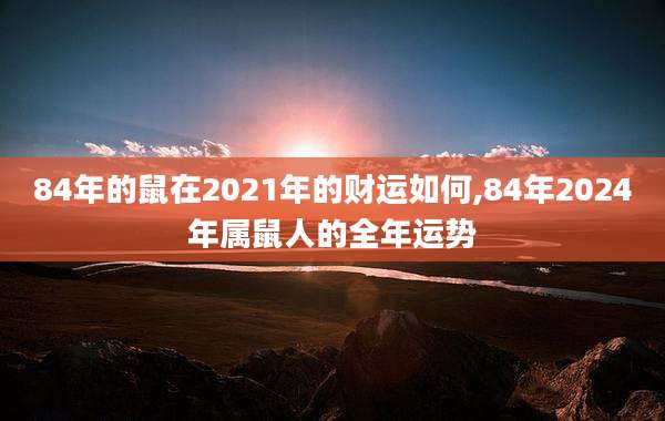 84年的鼠在2021年的财运如何,84年2024年属鼠人的全年运势