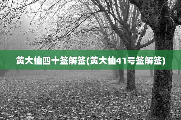 黄大仙四十签解签(黄大仙41号签解签)