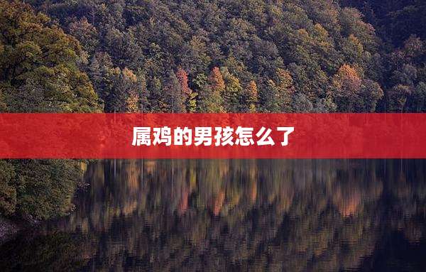 属鸡的男孩怎么了