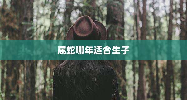 属蛇哪年适合生子