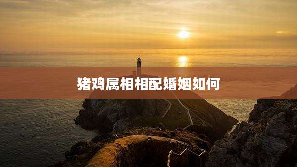 猪鸡属相相配婚姻如何
