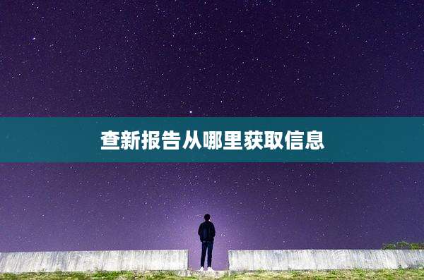 查新报告从哪里获取信息