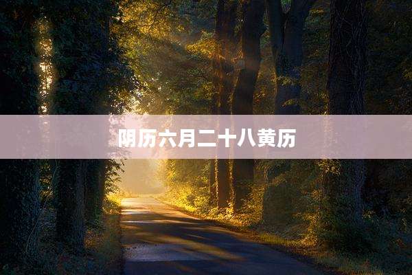 阴历六月二十八黄历