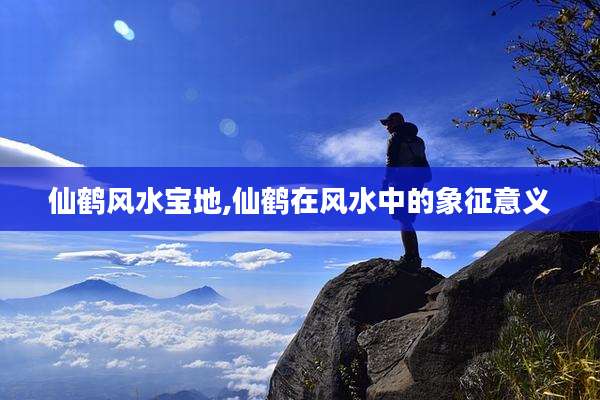 仙鹤风水宝地,仙鹤在风水中的象征意义