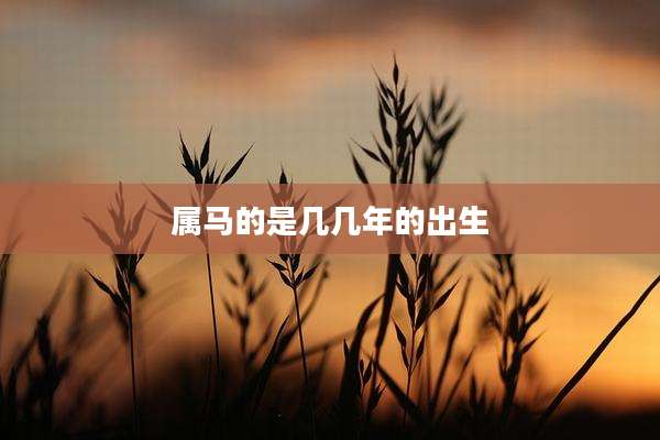 属马的是几几年的出生