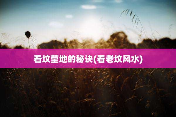看坟茔地的秘诀(看老坟风水)