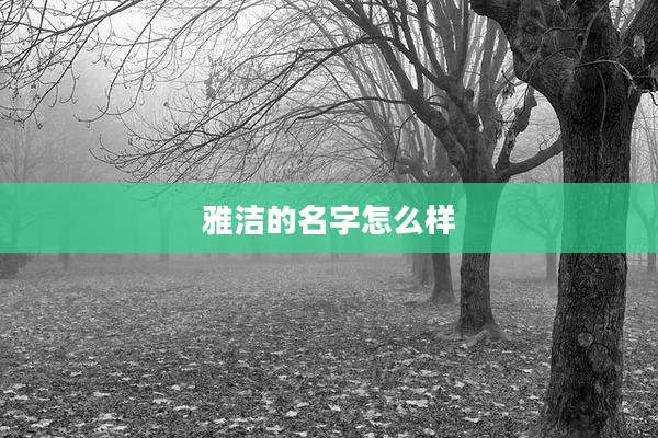 雅洁的名字怎么样