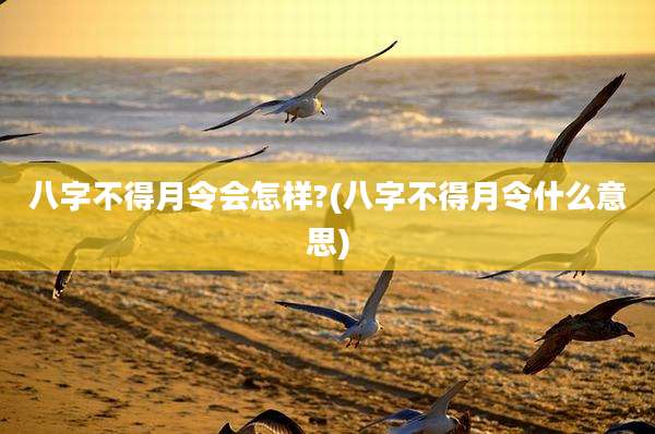 八字不得月令会怎样?(八字不得月令什么意思)