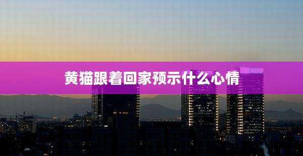 黄猫跟着回家预示什么心情