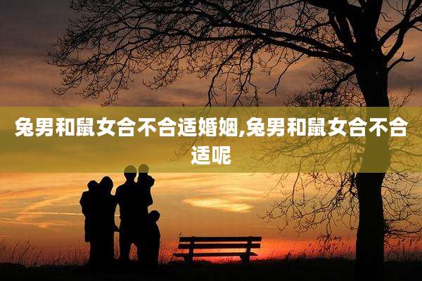 兔男和鼠女合不合适婚姻,兔男和鼠女合不合适呢