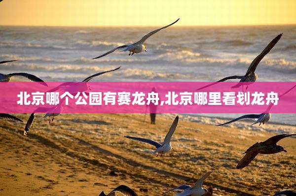 北京哪个公园有赛龙舟,北京哪里看划龙舟