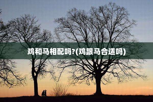 鸡和马相配吗?(鸡跟马合适吗)