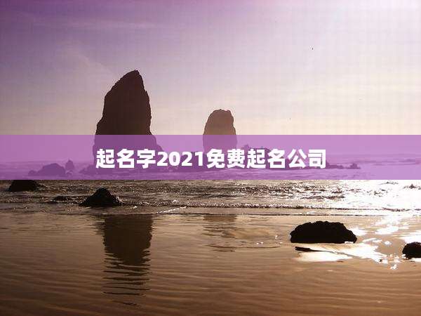 起名字2021免费起名公司