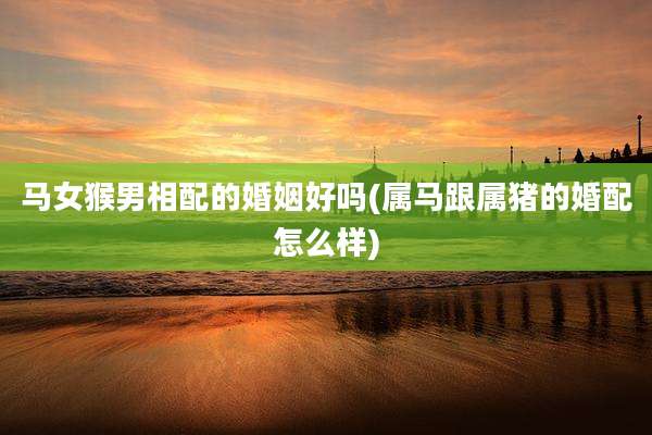 马女猴男相配的婚姻好吗(属马跟属猪的婚配怎么样)