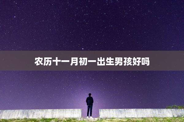 农历十一月初一出生男孩好吗