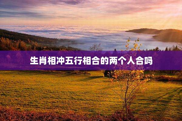 生肖相冲五行相合的两个人合吗