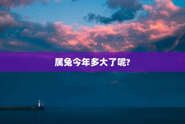 属兔今年多大了呢?